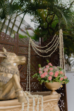 Rahul & Jeevni’s Haldi